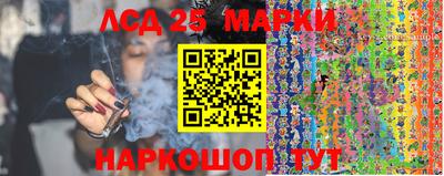 МДПВ Новокубанск