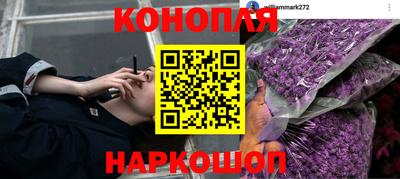 таблы Новодвинск