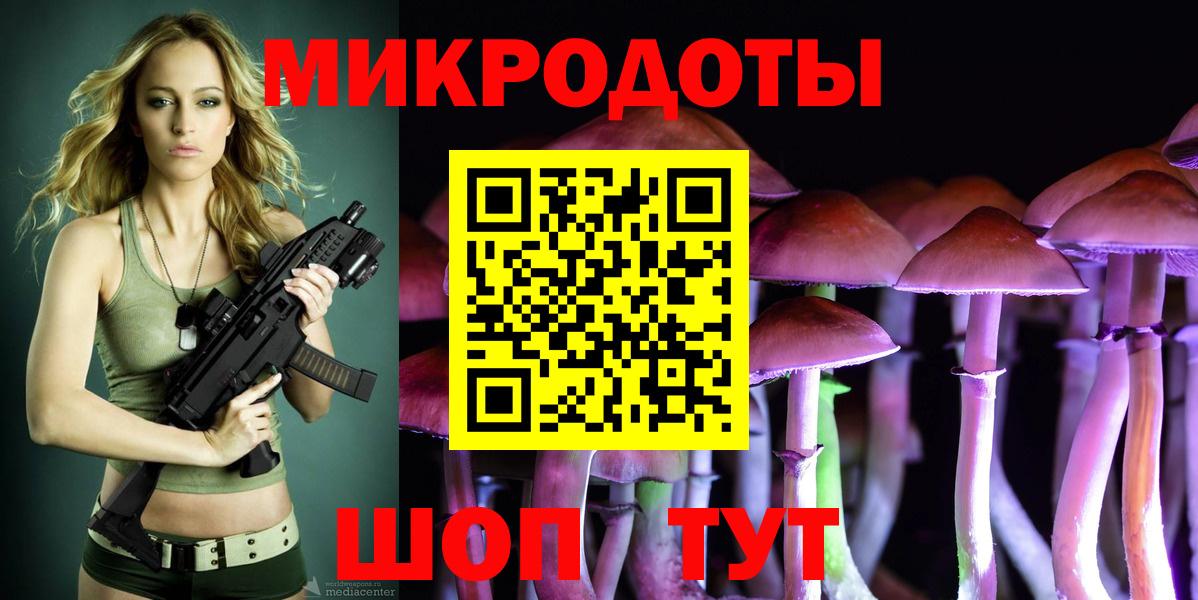 Псилоцибиновые грибы Cubensis Сосновый Бор