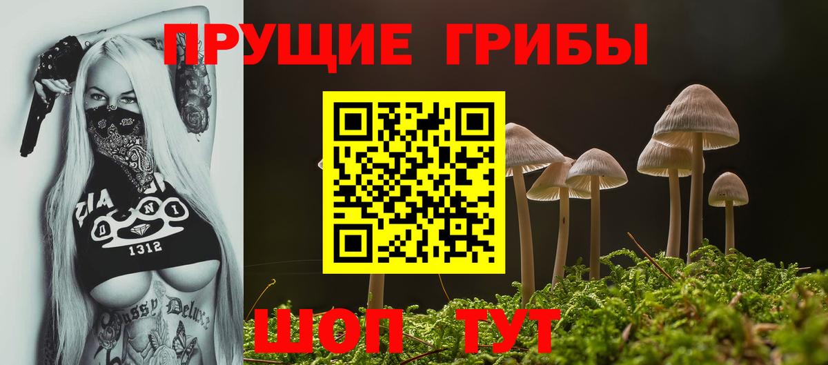 Галлюциногенные грибы мицелий  Вход с VPN  Сосновый Бор 